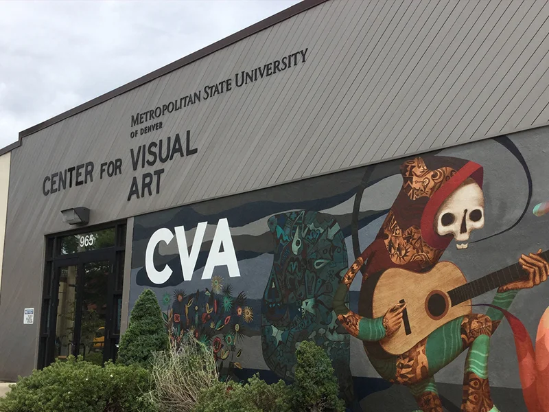 Center for Visual Art
