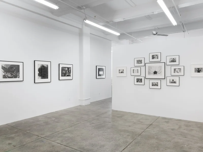 Deborah Bell Photographs