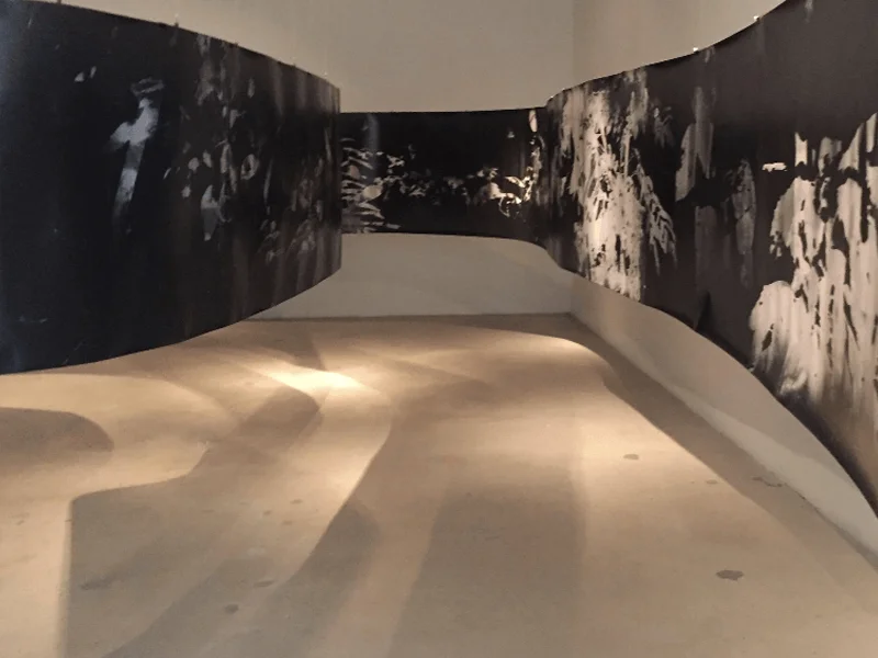 Dina Mitrani Gallery