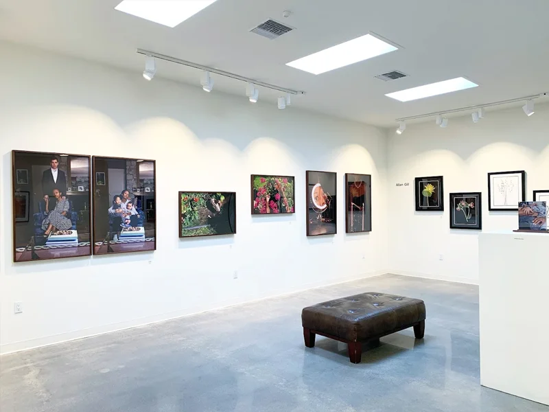 dnj Gallery