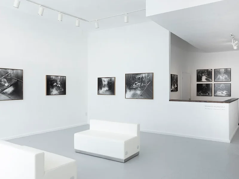 EUQINOM Gallery