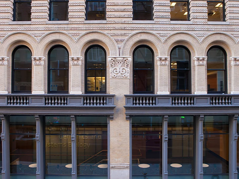 Hemispheric Institute at New York University