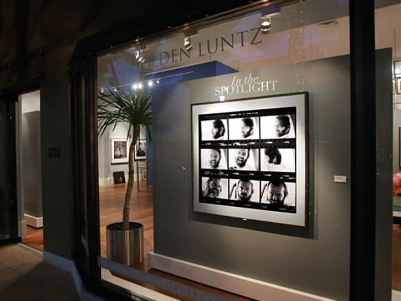 Holden Luntz Gallery