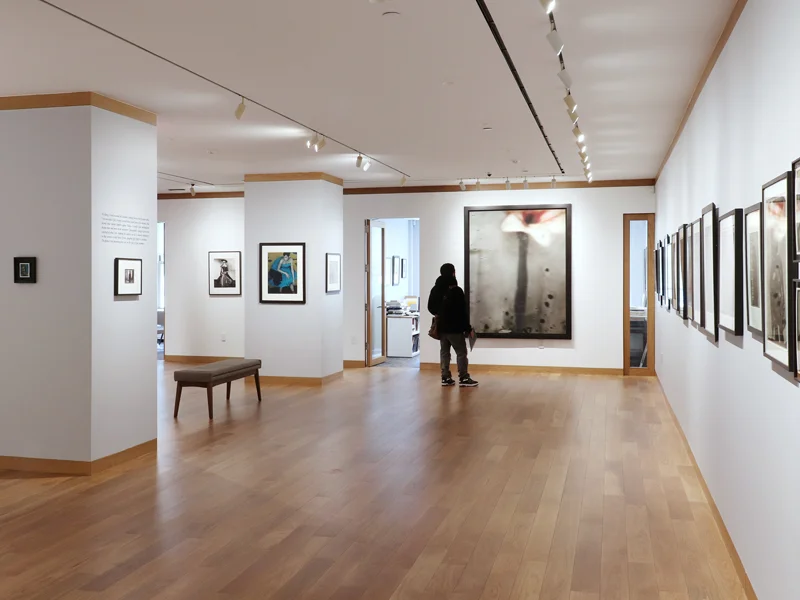 Howard Greenberg Gallery