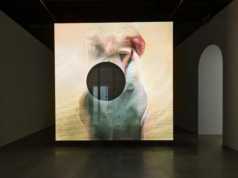 Marian Goodman Gallery