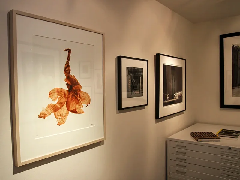 Nailya Alexander Gallery