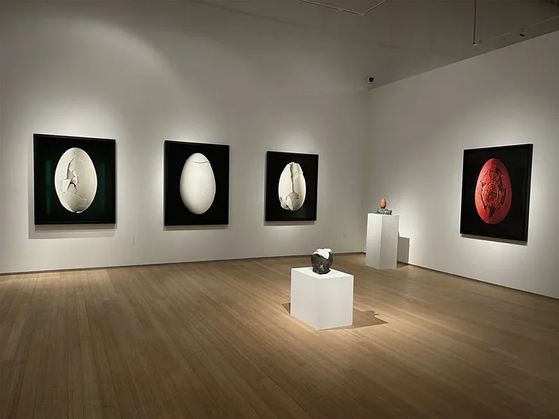Nancy Hoffman Gallery  