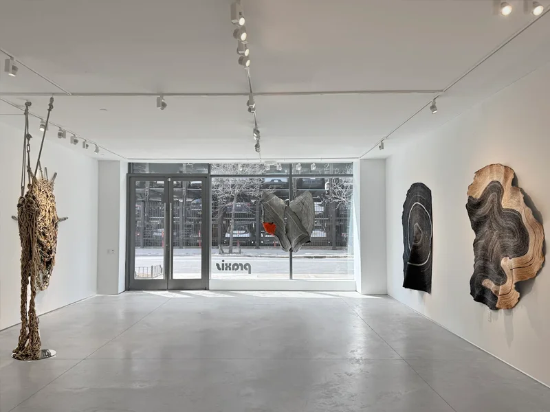 Praxis Gallery New York
