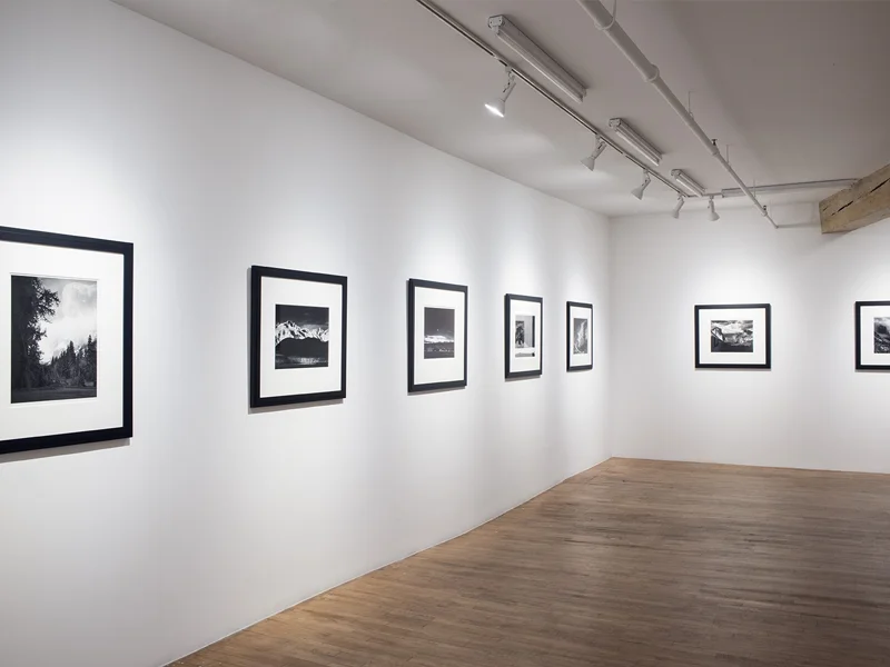 Robert Mann Gallery