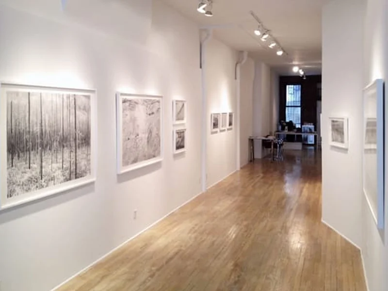 Sasha Wolf Projects