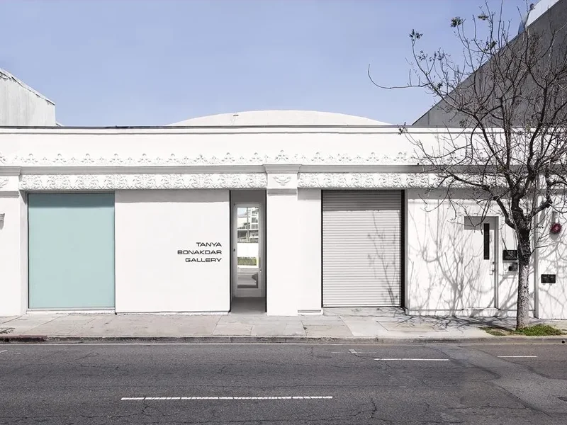 Tanya Bonakdar Gallery
