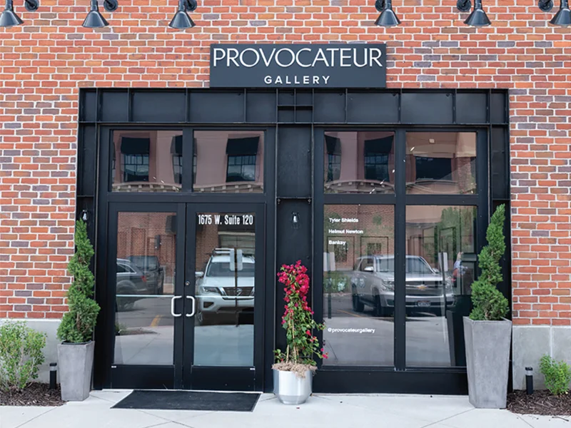 The Provocateur Gallery