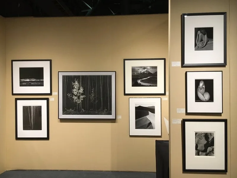 Weston Gallery