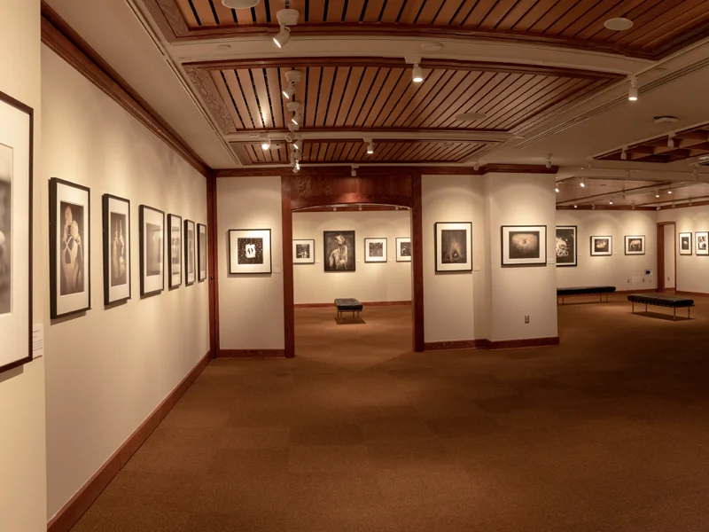 The Wittliff Collections