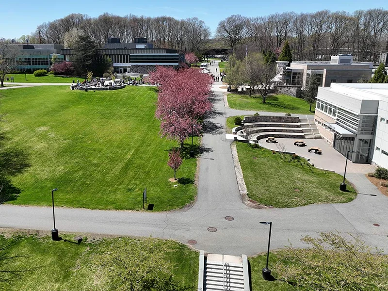 CCM - County College of Morris