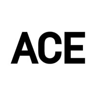 Ace Gallery