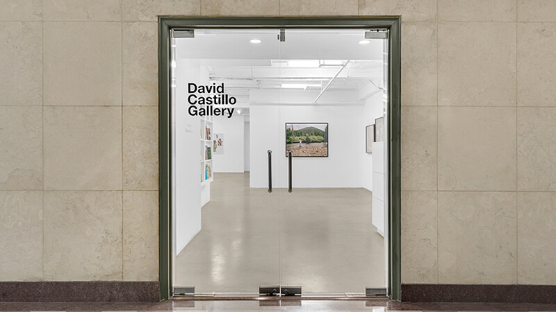 David Castillo