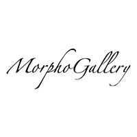 Morpho Gallery