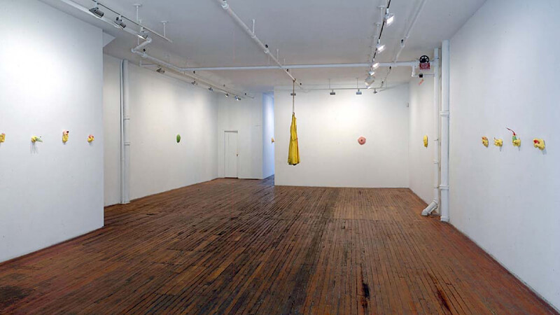 Nicole Klagsbrun Gallery