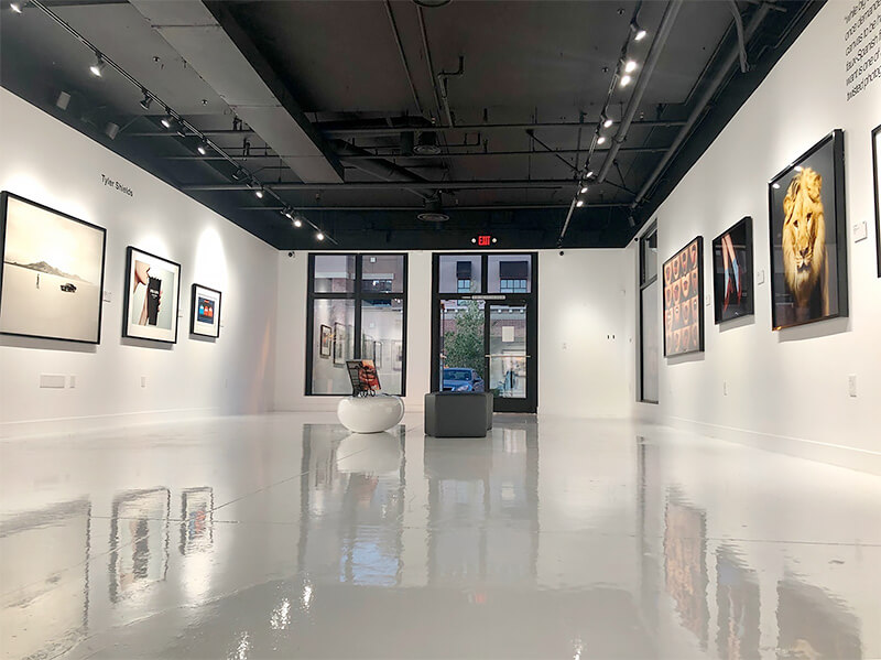 The Provocateur Gallery