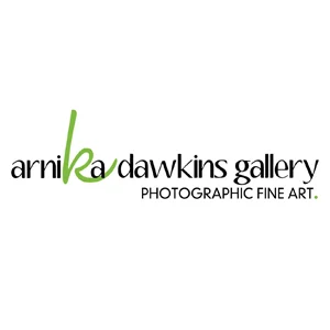 Arnika Dawkins Gallery