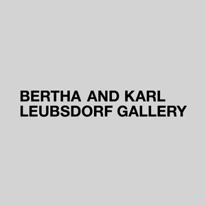 Bertha and Karl Leubsdorf Gallery