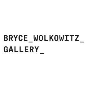 Bryce Wolkowitz Gallery