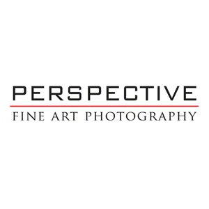 Perspective Gallery