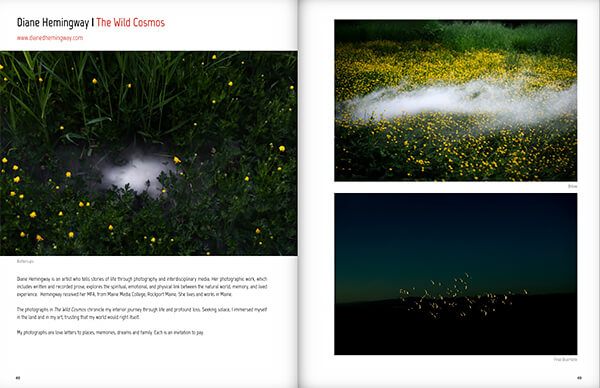 AAP Magazine #33: Nature