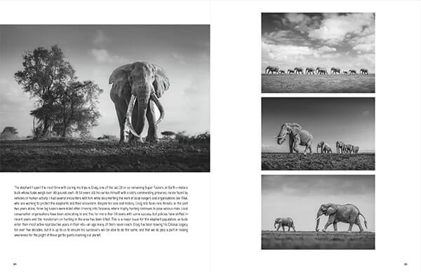 AAP Magazine #49: B&W