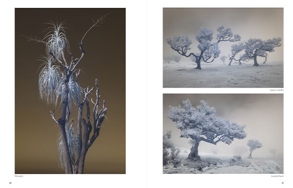 AAP Magazine #54: NATURE