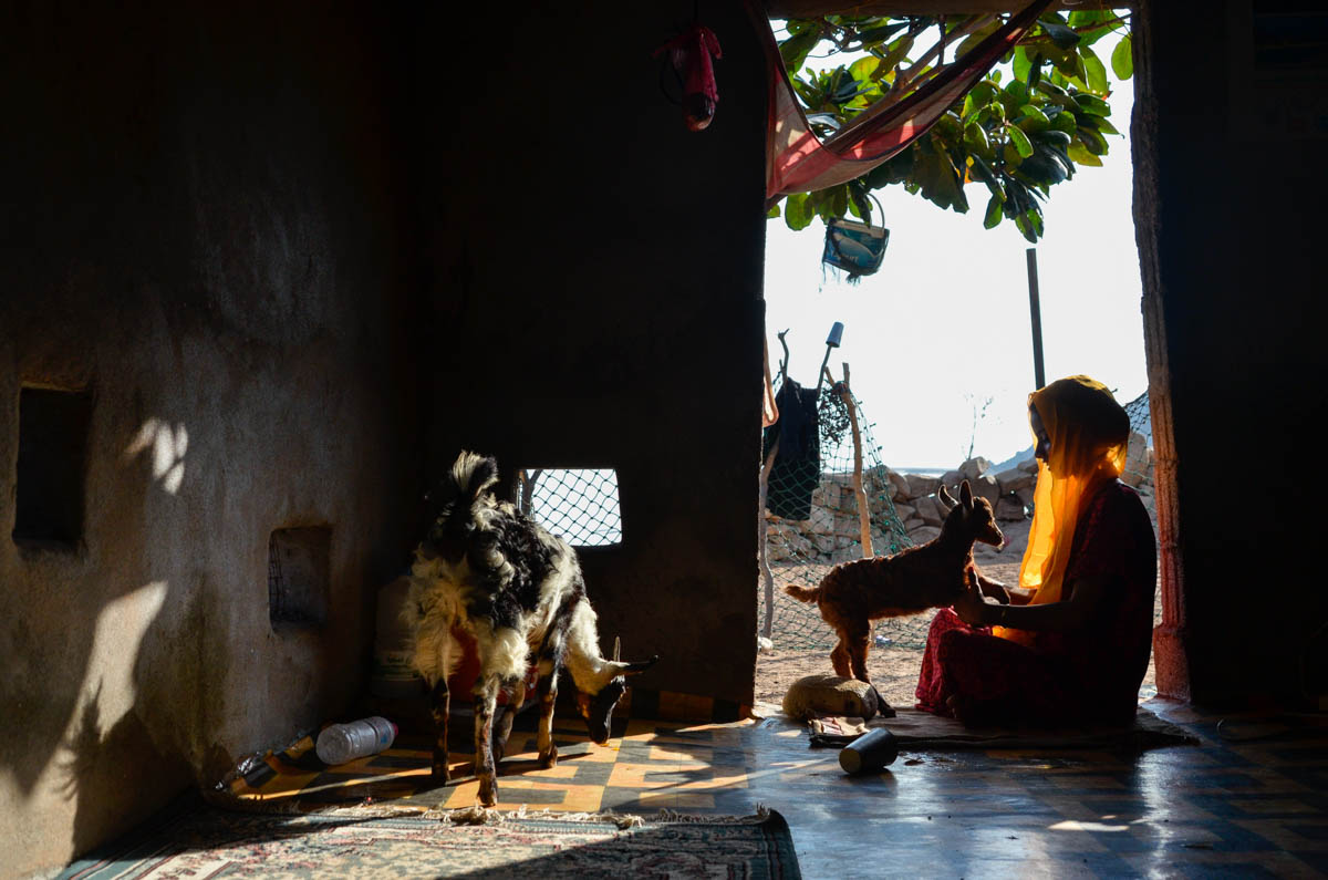 Detwah Lagoon, Socotra, Yemen on the 7th  of May 2014. Sadiya’s daughter Fahima plays with a little goat called ‘Tofahah’, in front of her home.<p>© Amira Al-Sharif</p>