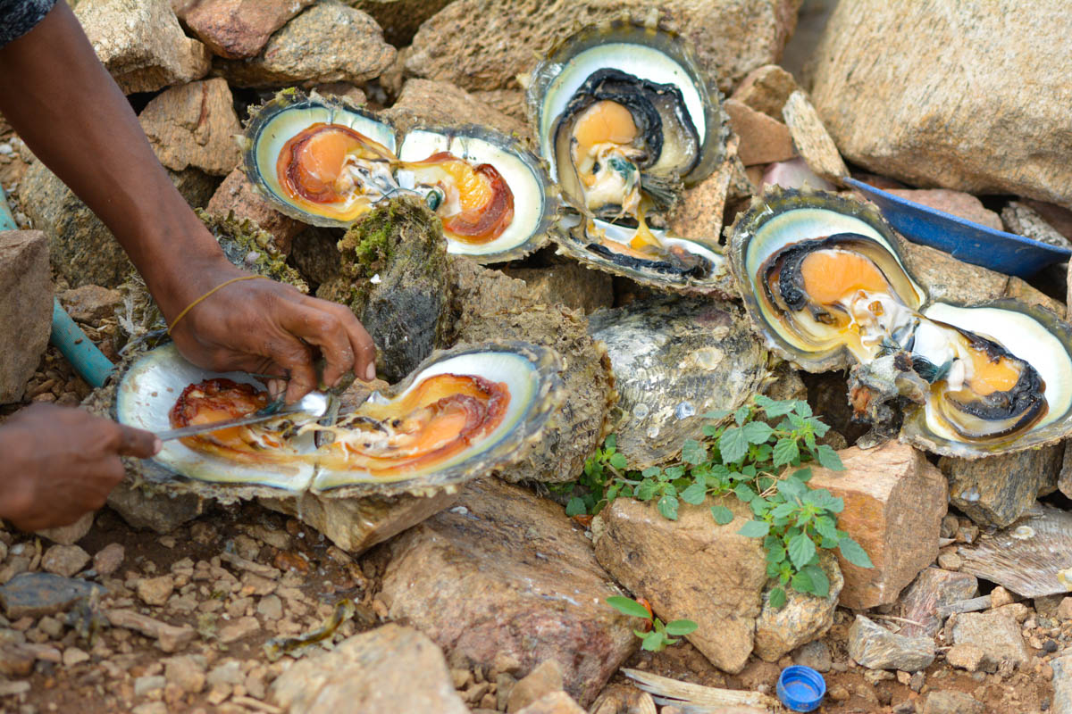 Detwah Lagoon, Socotra, Yemen on the 23rd of January 2015. Sadiya’s son Fahmi prepares sea shells for lunch.<p>© Amira Al-Sharif</p>