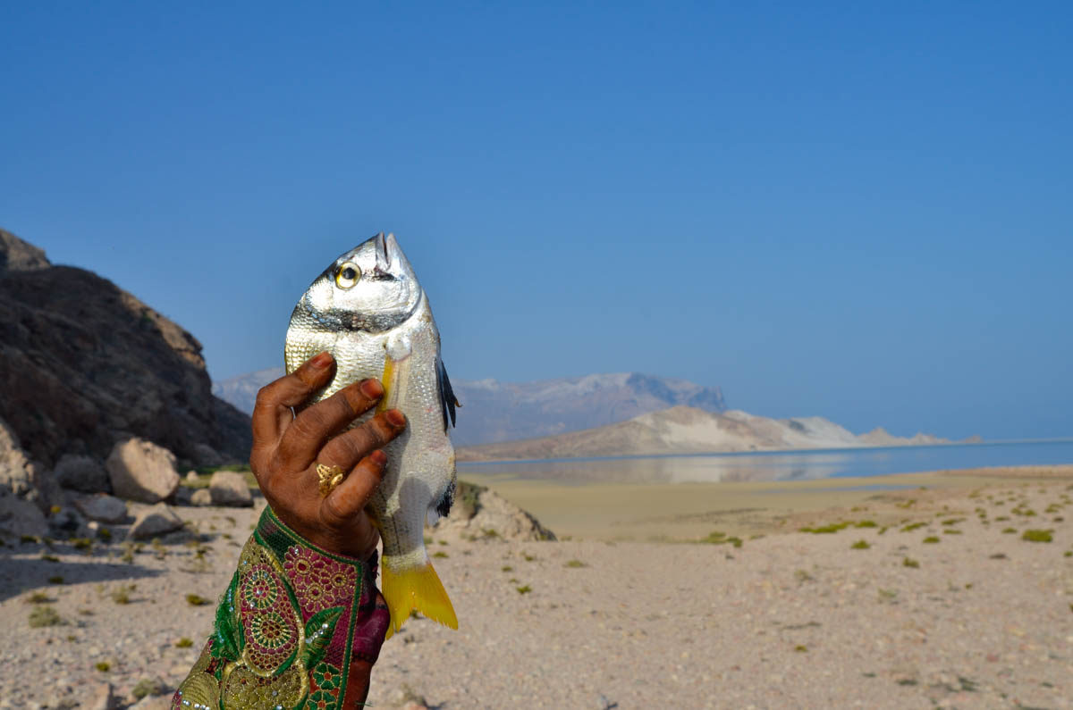 Detwah Lagoon, Socotra, Yemen on the 8th of May 2014. – Sadiya holds the fish that she caught for her family lunch.<p>© Amira Al-Sharif</p>