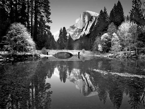 <p>© Ansel Adams</p>