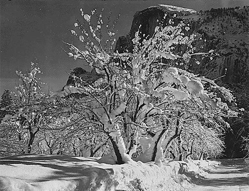 <p>© Ansel Adams</p>