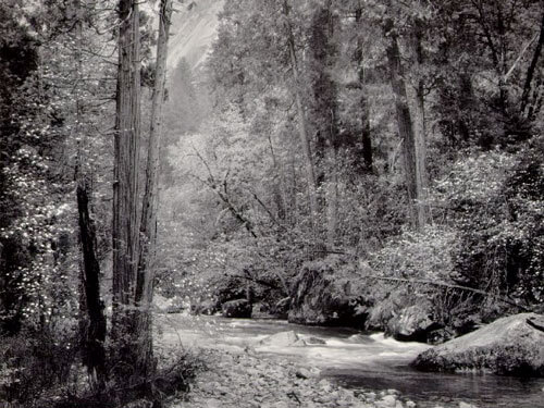 <p>© Ansel Adams</p>