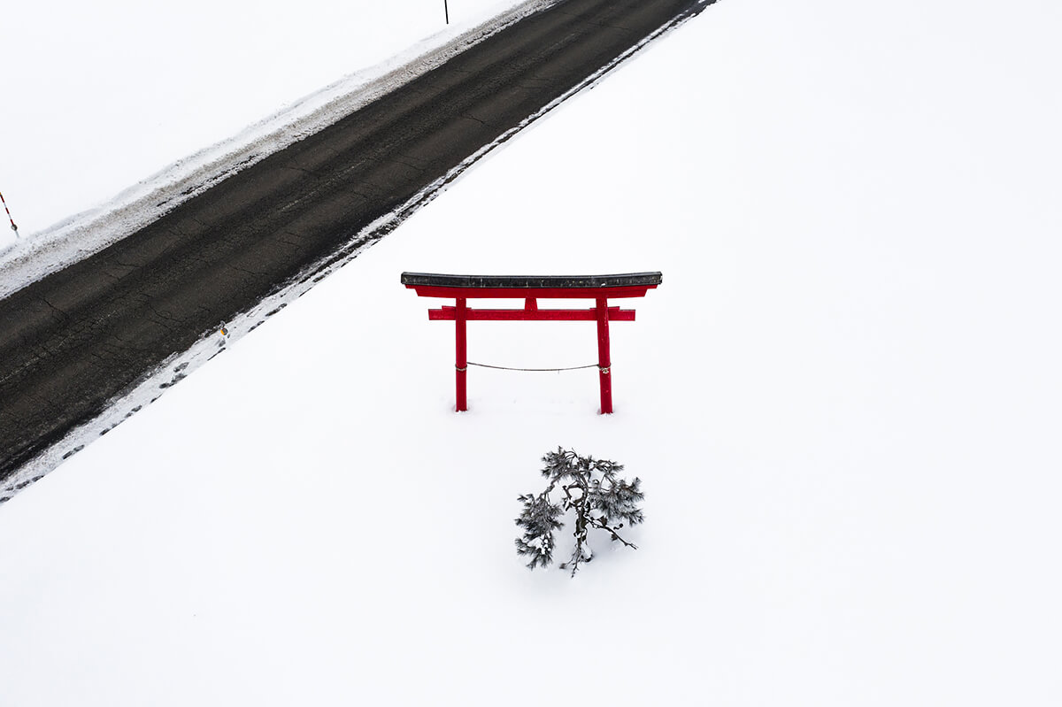 TORII<p>©  Atom</p>