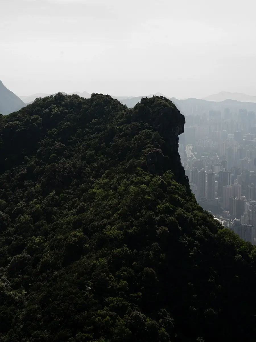 HIGHS & LOWS: LION’S HEAD - LION ROCK (2024)<p>© Derry Ainsworth</p>