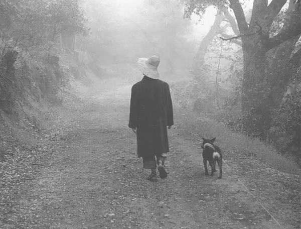 Big Sur, Fog, 1950<p>© Ellen Auerbach</p>