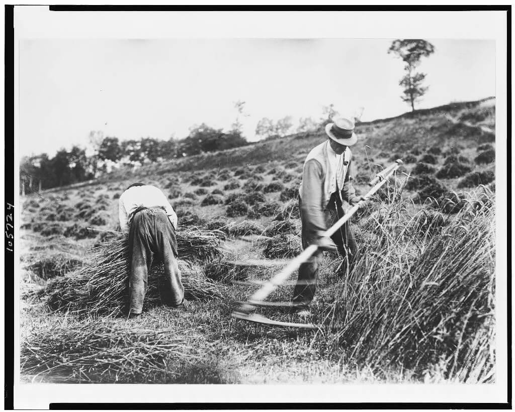 Faucheurs, Somme, between 1895 and 1927, printed 1956<p>© Eugène Atget</p>