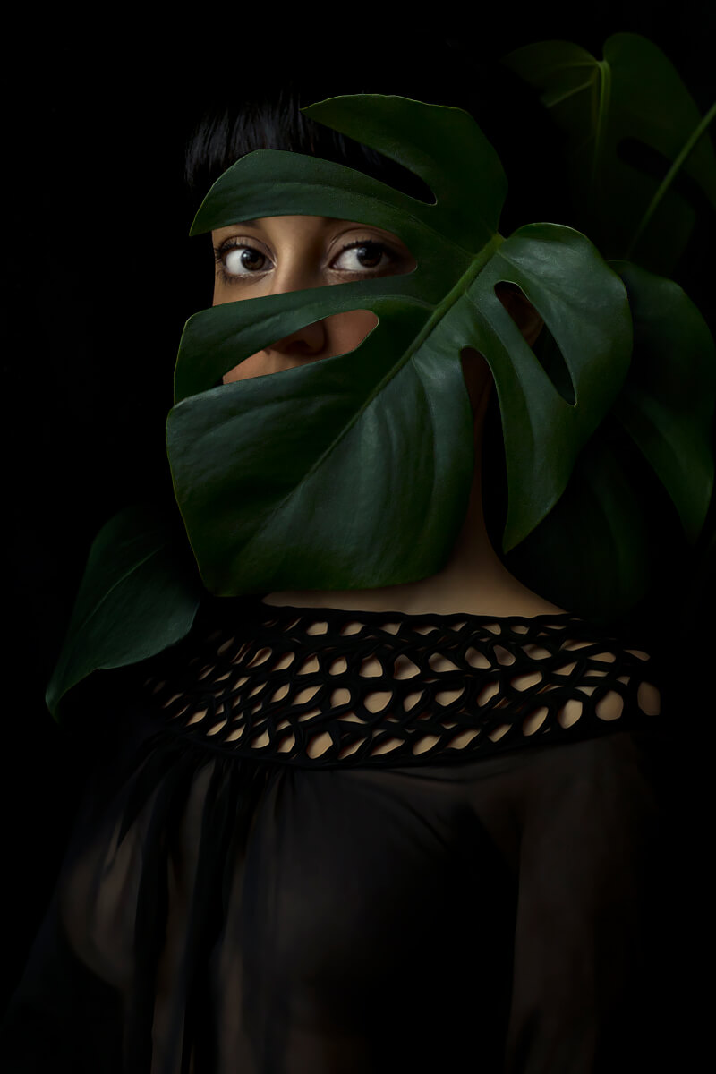 Monstera<p>© Gabriella Aragon</p>