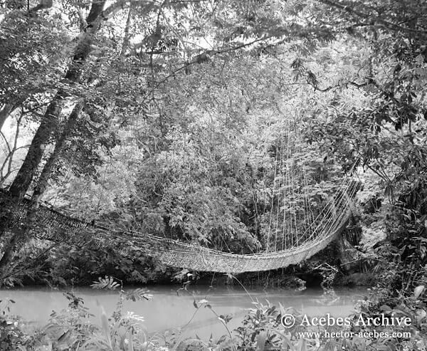 Vine bridge, Guinea, 1953<p>© Hector Acebes</p>