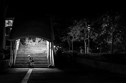 Night Dog (from the Geometric Hong Kong series)