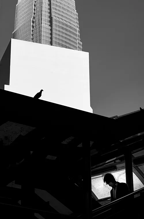 Looking Down (from the Geometric Hong Kong series)