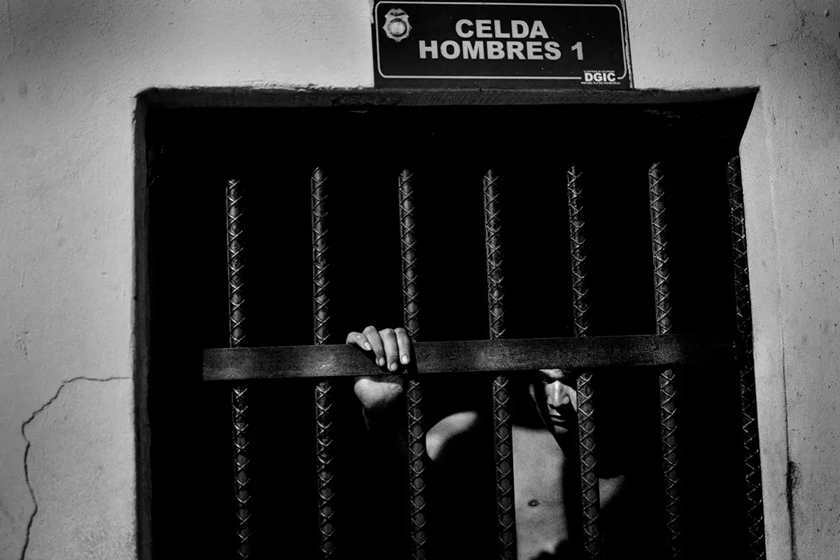 <p>&copy; Javier Arcenillas</p>