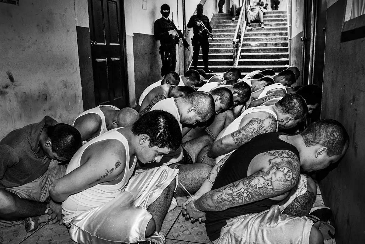 <p>&copy; Javier Arcenillas</p>