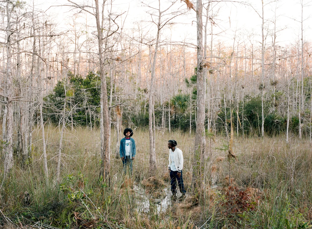 Josh Aronson, Swamp, 2025.<p>© Josh Aronson</p>