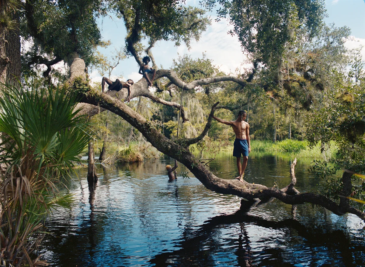 Josh Aronson, Creek, 2024.<p>© Josh Aronson</p>