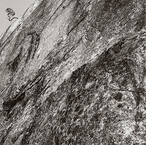 Rock and small tree, Perna, Finland 1988<p>© Kristoffer Albrecht</p>